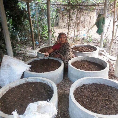 AGRICULTURE AND FOOD SECURITY 800x800px